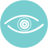 vision